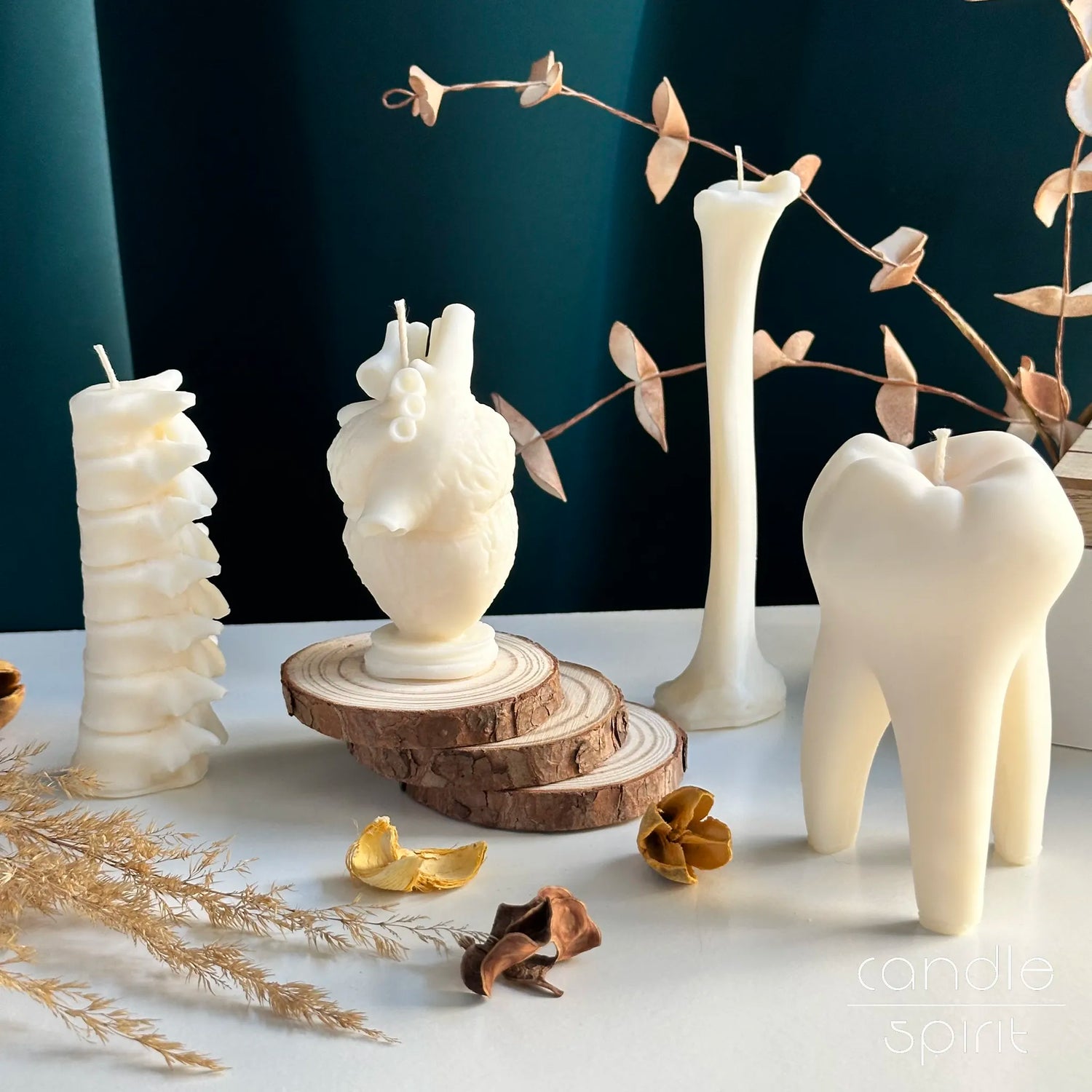 White candles shaped like human spine, bone, tooth, and anatomical heart - Halloween home decor for gothic lovers and perfect gift for medical students, dentists, nurses, and doctors