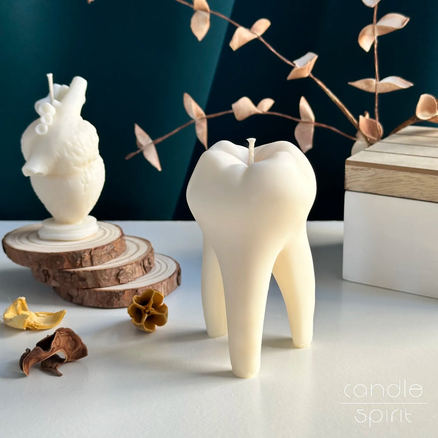 Decorative soy candles shaped like a tooth and an anatomical heart - gothic home decor and unique gift for doctors and dentists.
