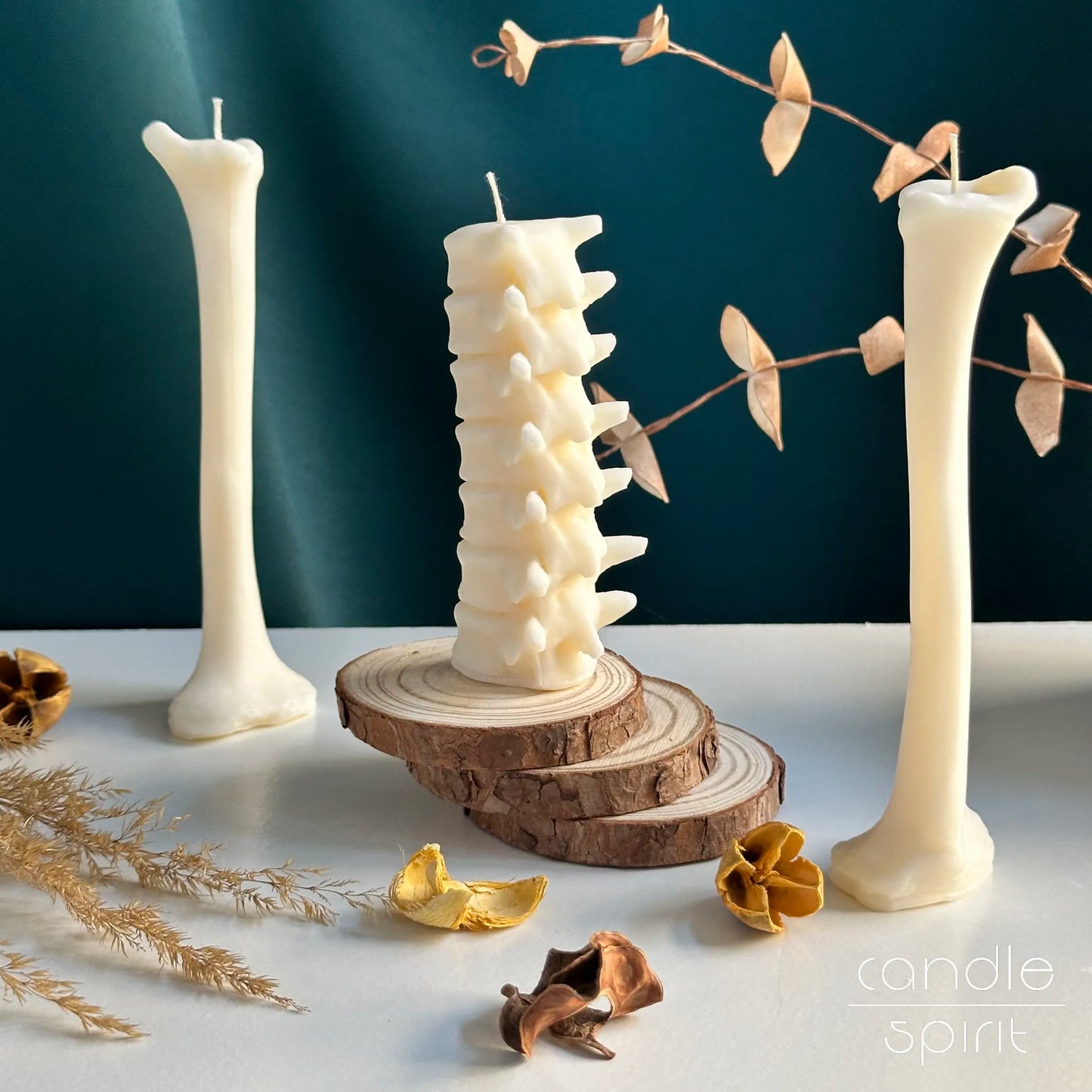 Three white candles shaped like femur bone and human spine - Halloween home decor and birthday gift for doctors, nurses, and medical students