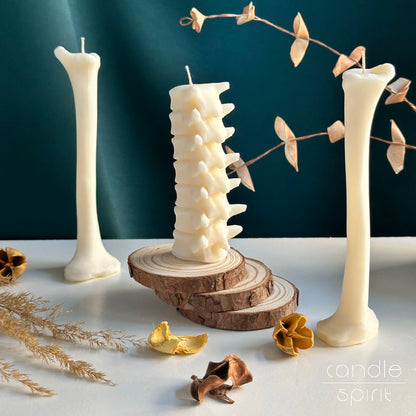 Three white candles shaped like femur bone and human spine - Halloween home decor and birthday gift for doctors, nurses, and medical students